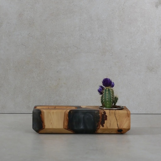 Card Holder & Planter (1).webp